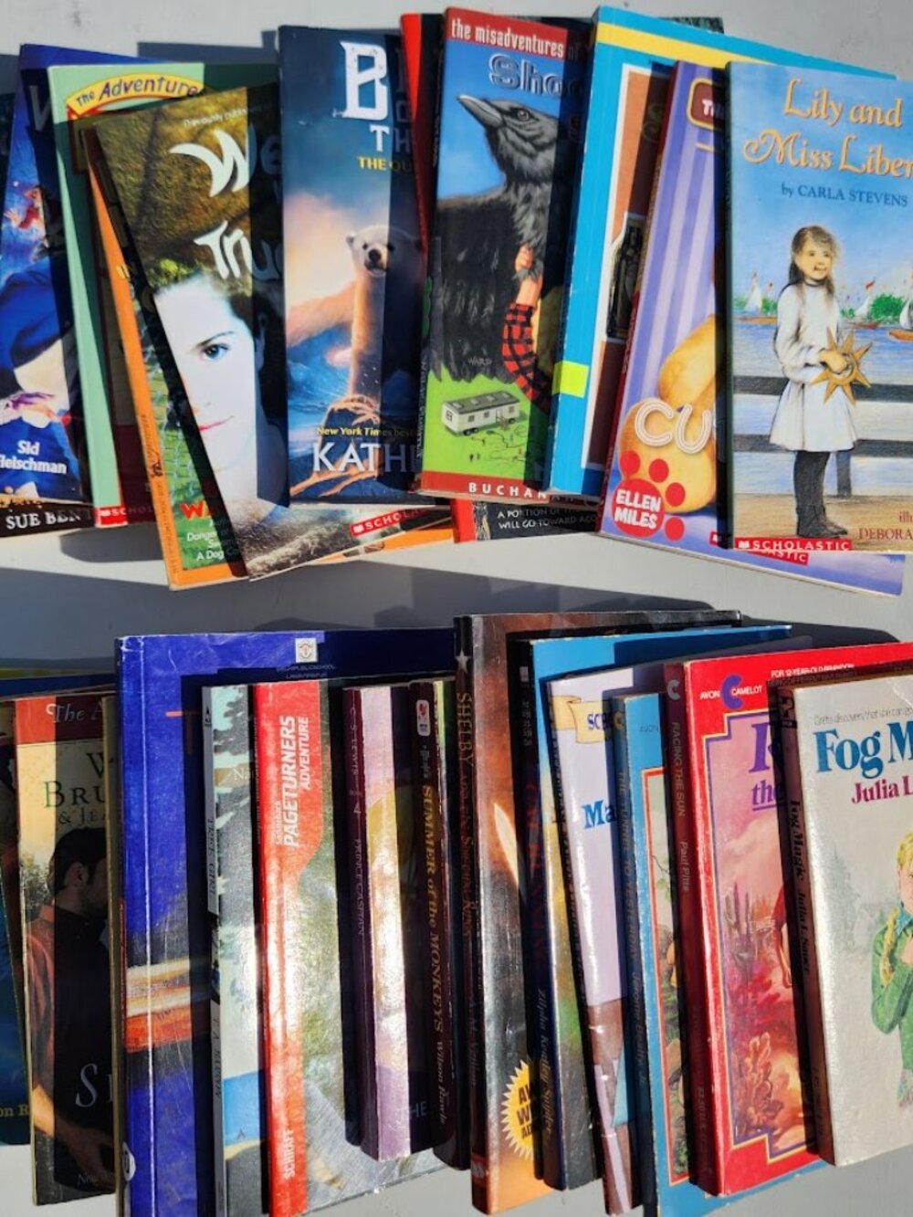 4 Book Bundle Lot Set Chapter Books Young Adult Literature Novels Mystery Books - Picture 3 of 16